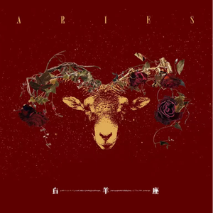 国产激情在线神山奈奈拍摄AV儿子AV
